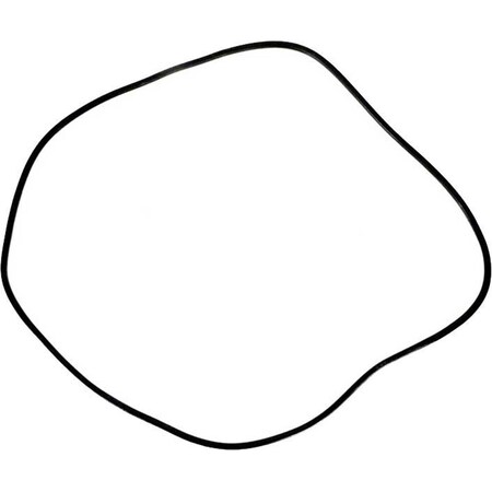 Ala-Pt A Doughboy O-Ring Kit APCO2287